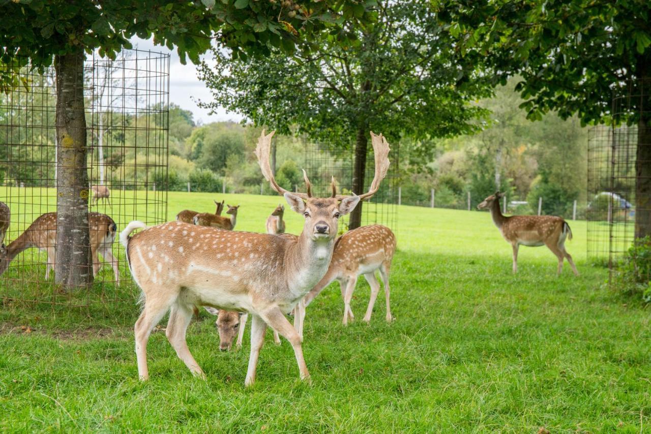 Hotel Hofgut Tiergarten Aulendorf Ngoại thất bức ảnh